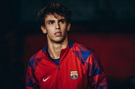 棒球写作的长期回报